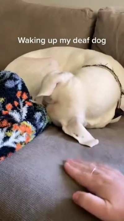 🥺❤🥺 🤧