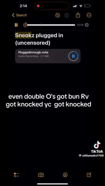 Sneakz Plugged In (Uncensored)