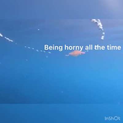Sad n horny