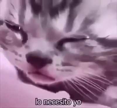 r/spoh users when r/spoh is obtainable