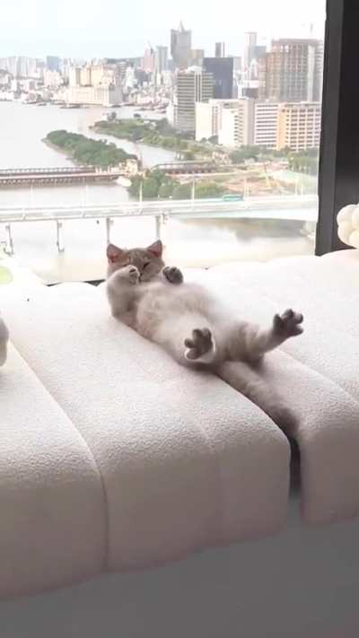 After a hard day&rsquo;s work of being so adorable