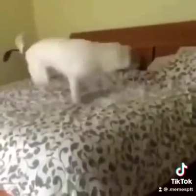 NO...