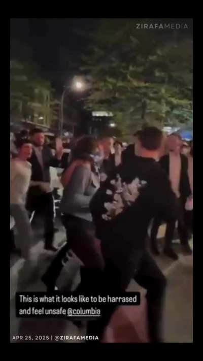 The Mobs Attacking Women in NYC