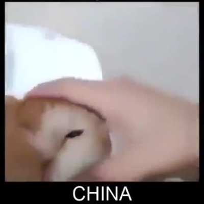 Rule