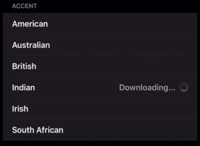 The Indian Siri