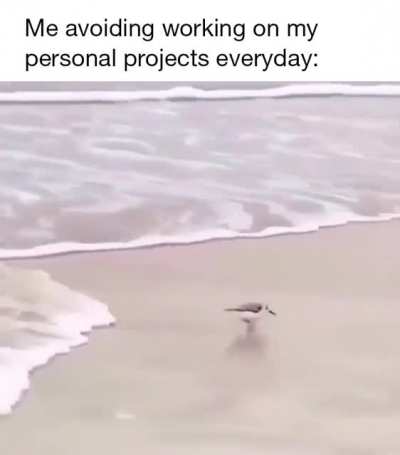 Procrastination is life