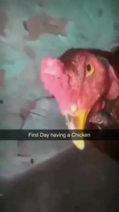 day 81
