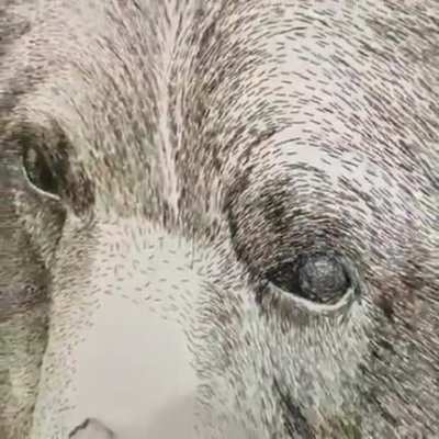 This man created an amazing artwork using staple wires.