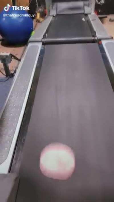 Not the ham :(