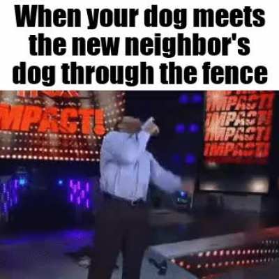 lost his damn mind