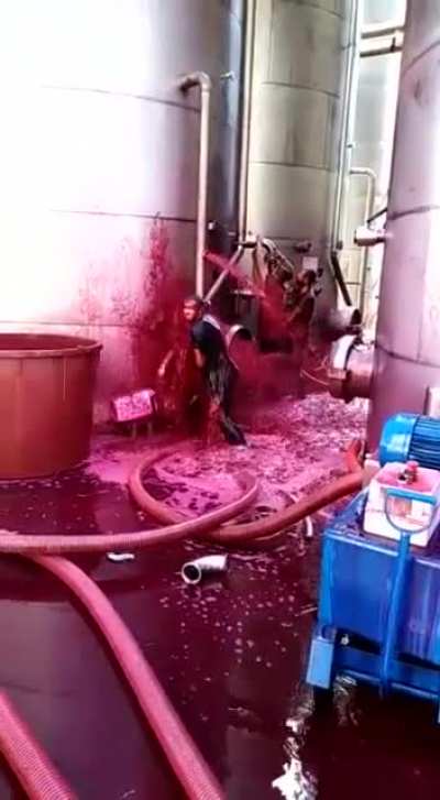 Not the wine!