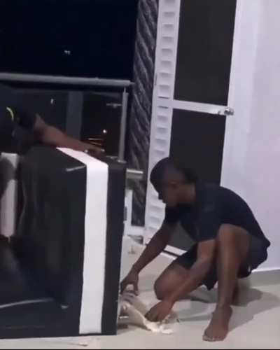 Brazilian pest control