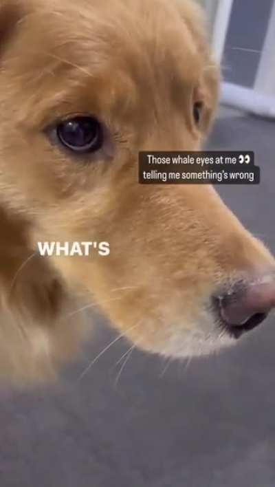 Good girl