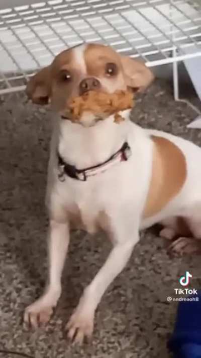 PUT THE CHICKEN DOWN!