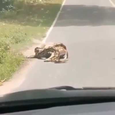 To eat