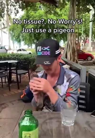 Pigeon napkin, do your stats