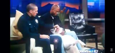 Pit Bull attacks women on live News