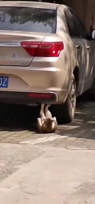Warming-up for gym