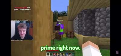 Dream Smp