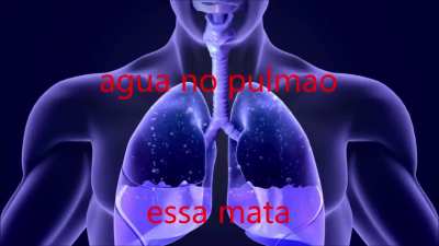 Top 10 &aacute;guas 💧