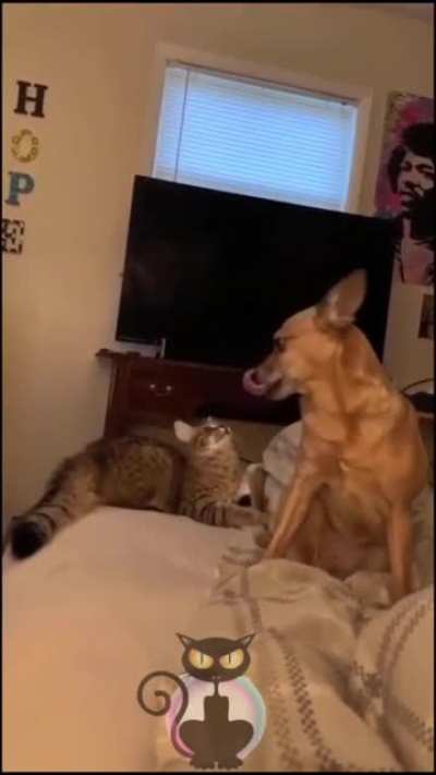 Что смотришь? Это не я...