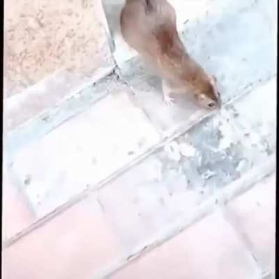 :>