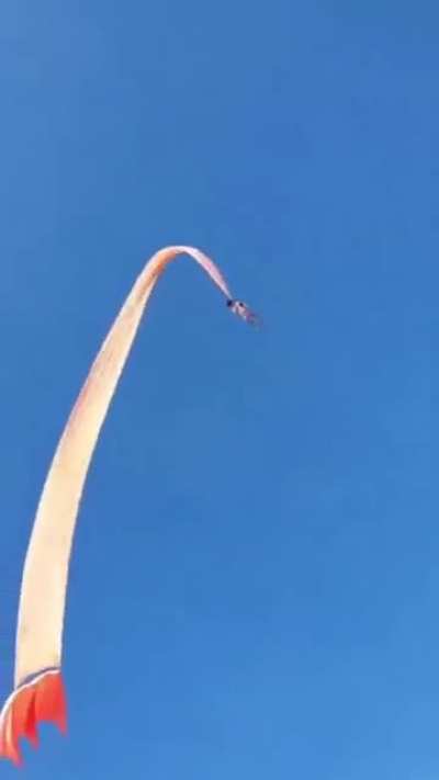A Kite Ride For Your Life