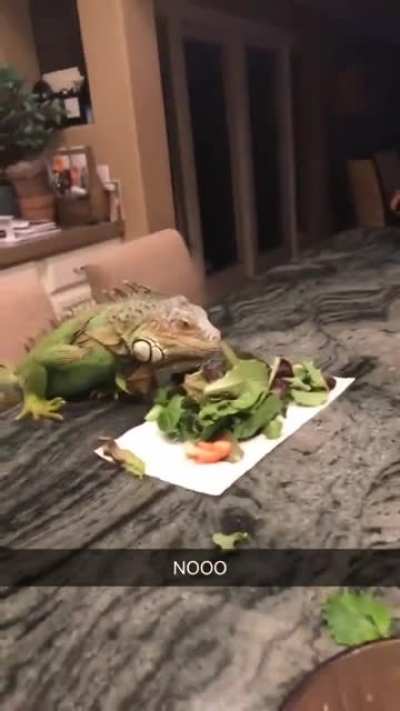 O-