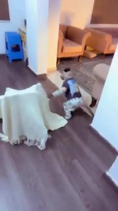 Macaco mitinho