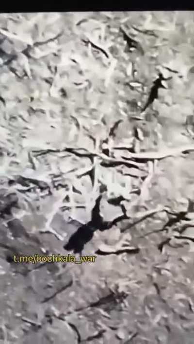 This morning in the direction of Bakhmut they chased orcs