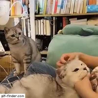 Jealous