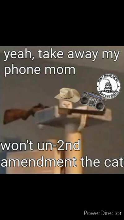 American cats