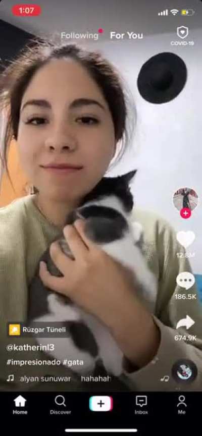 Dying at the cat&rsquo;s reaction