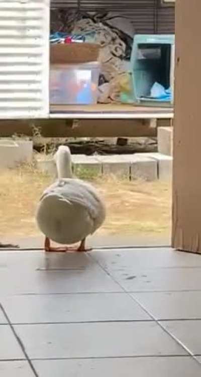 She startled easy.
