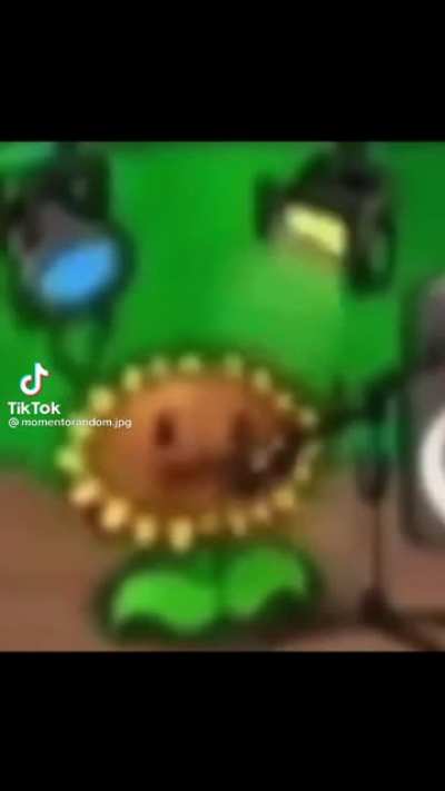 Un adelanto de hoy
