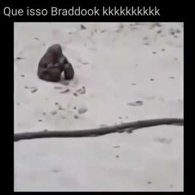 Braddock