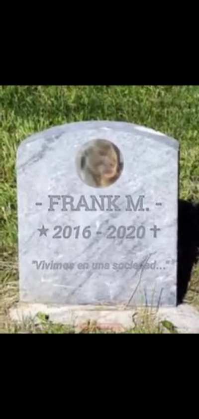 Frank's Tribute