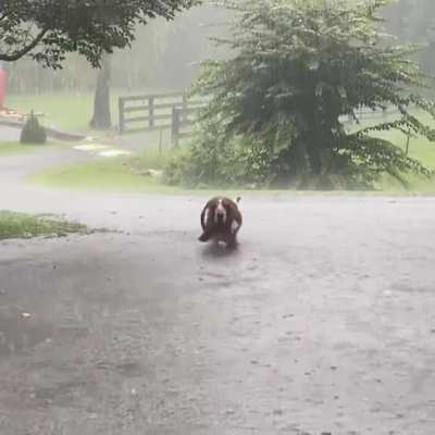 Let&rsquo;s go for a walk she said&hellip;