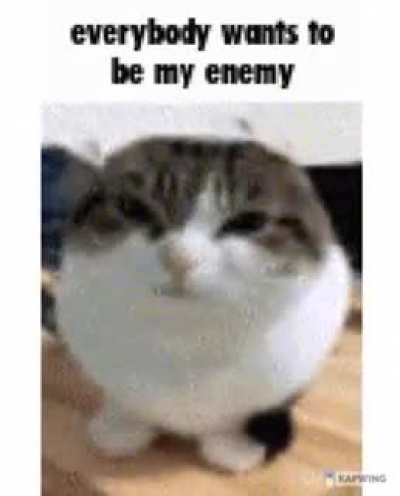 oh the misery