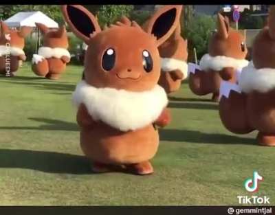 POV : Noble&rsquo;s Eevees when he isn&rsquo;t looking
