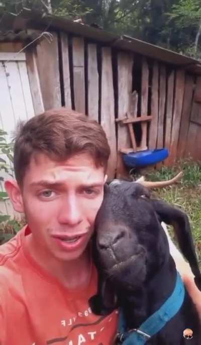 Fofo