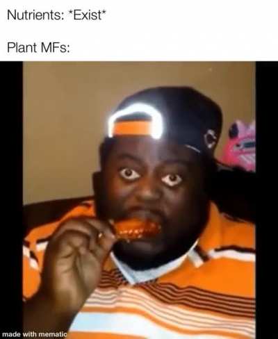 Nutrition
