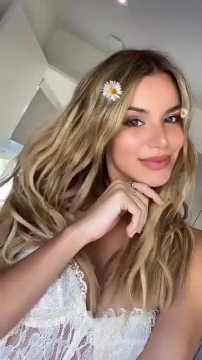 Daisies