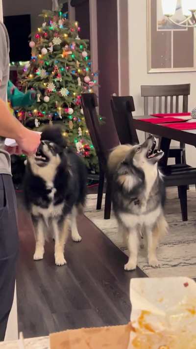 T&rsquo;was the night before Christmas&hellip;