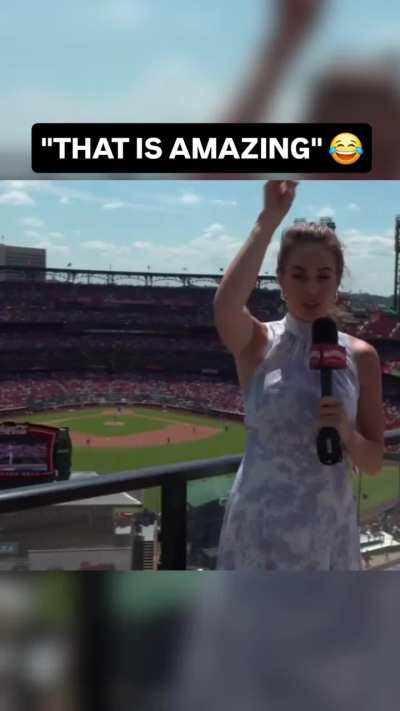 at a baseball game