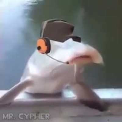8)
