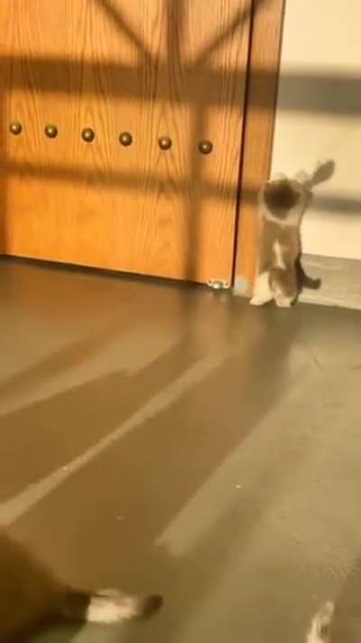 Can we get an awwww