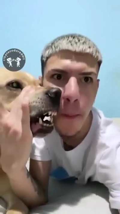 Woooooof!