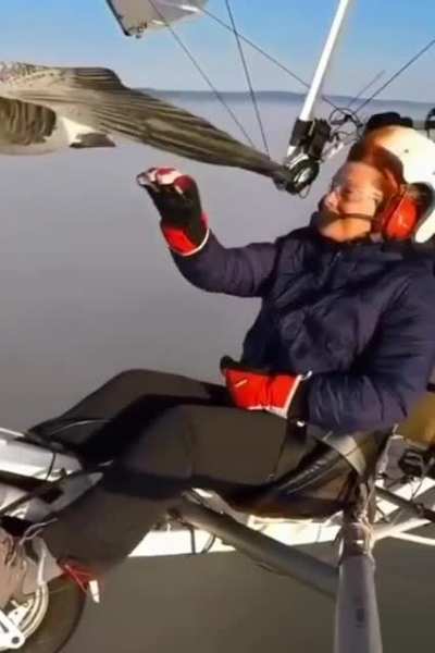 Fly like a bird