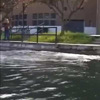 Just how?